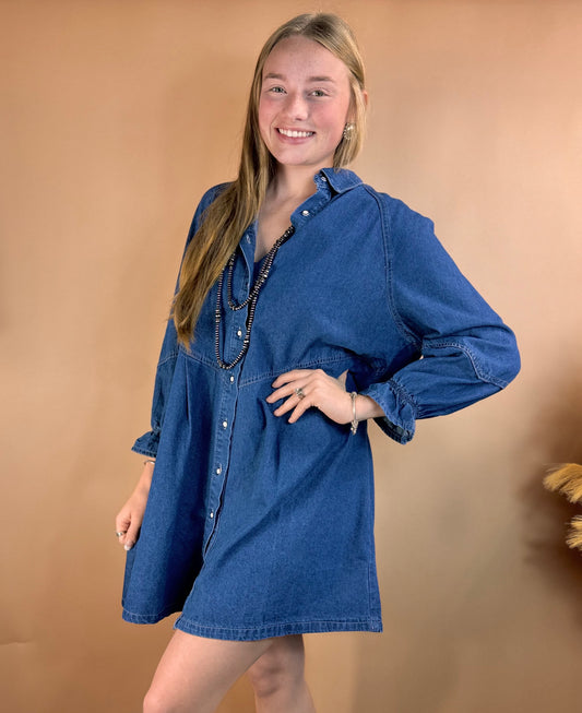 The Kathy Denim Dress