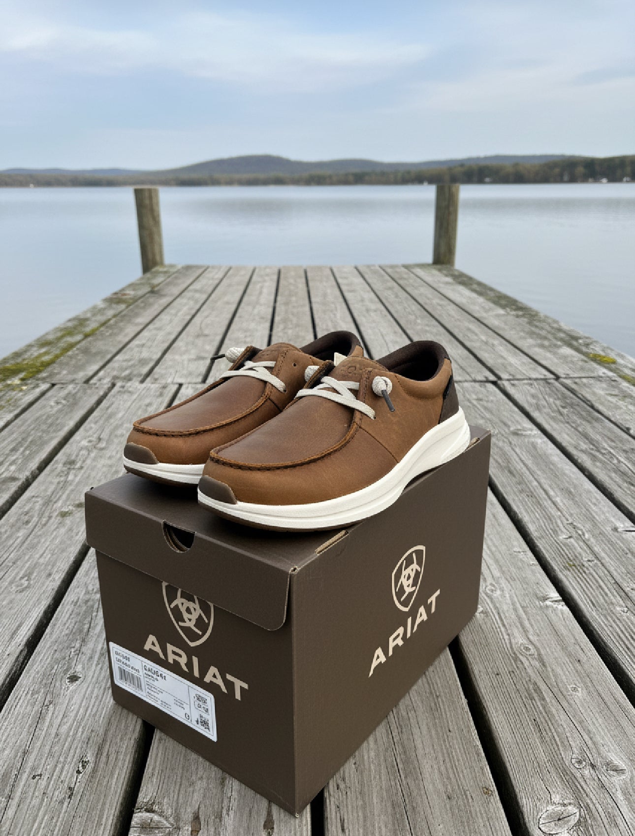 Ariat (M) Buckeye H20