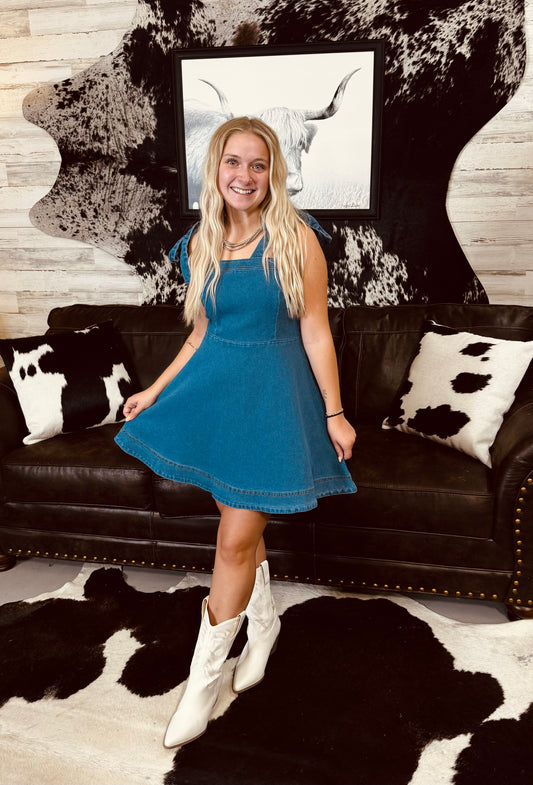 Holly Denim Dress